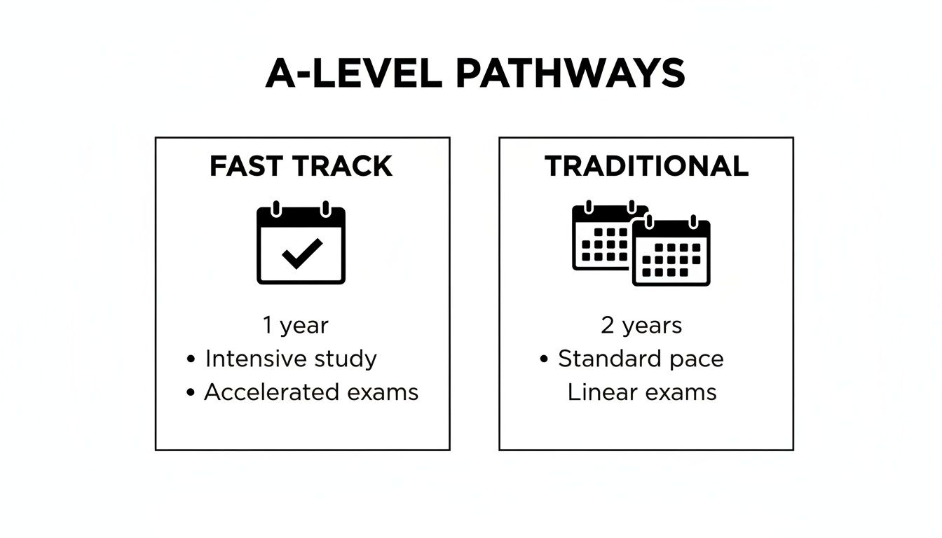 A visual comparison of A-Level Fast Track (1 year) and Traditional (2 years) study pathways.