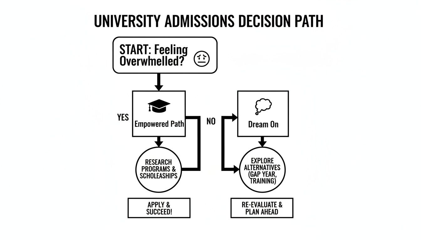 Flowchart illustrating the university admissions decision path, guiding students from feeling overwhelmed to applying or exploring alternatives.