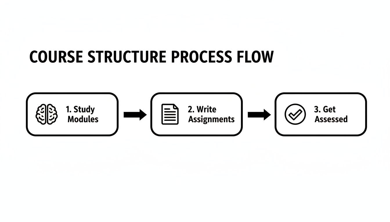 A flowchart illustrating a course structure process: study modules, write assignments, then get assessed.