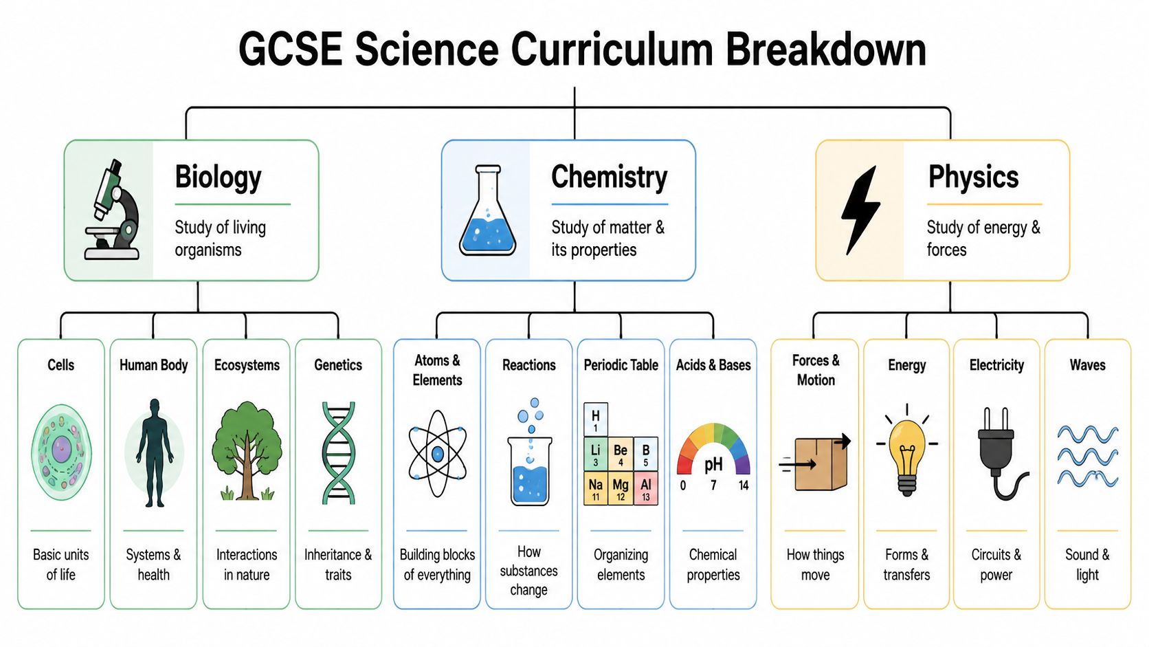 A diagram illustrating the GCSE science curriculum broken down into Biology, Chemistry, and Physics subject branches.