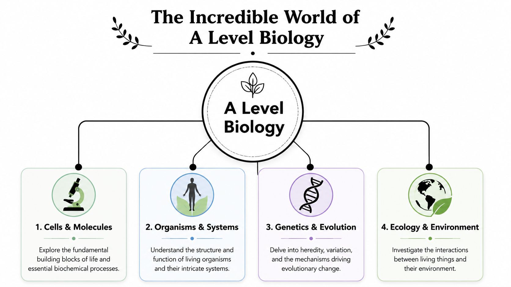 A structured infographic showing four core pillars of the A Level Biology curriculum for students.