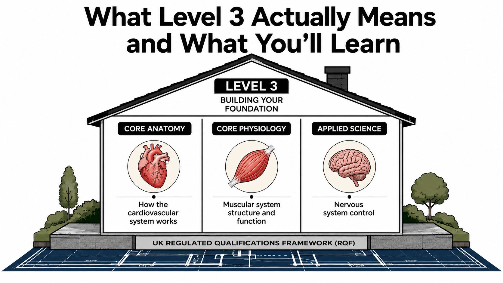 An educational illustration explaining Level 3 course content covering anatomy, physiology, and applied science concepts.