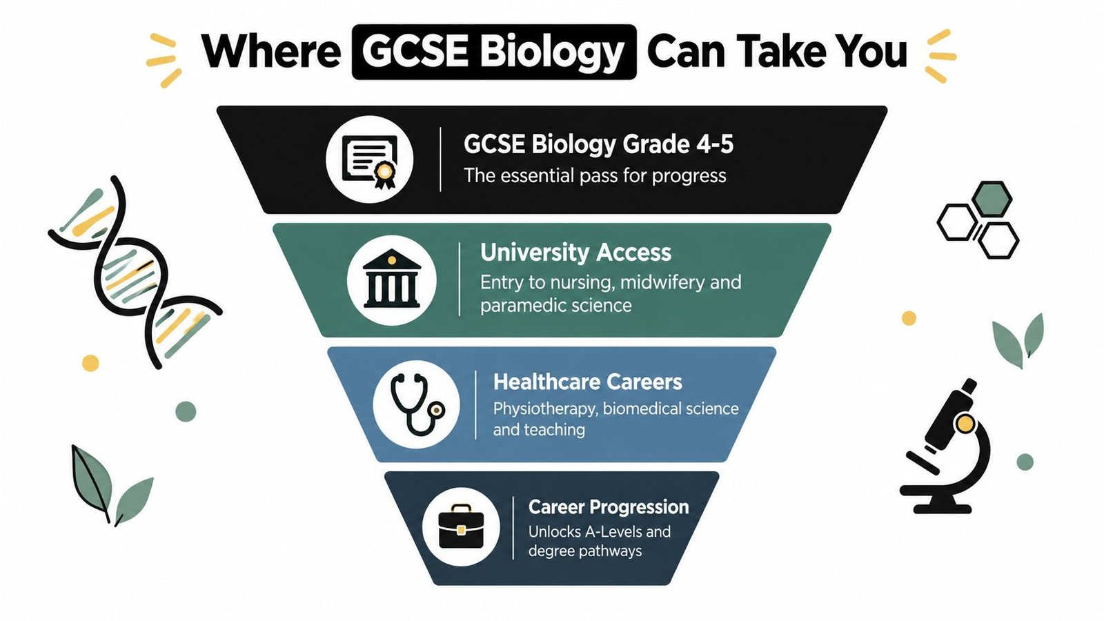 A funnel infographic showing how GCSE Biology grades can lead to university and diverse healthcare career opportunities.