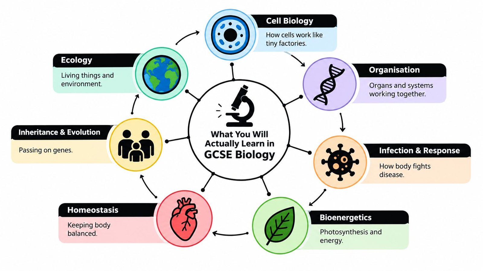 A diagram illustrating the core topics of the GCSE Biology curriculum, such as cell biology and ecology.